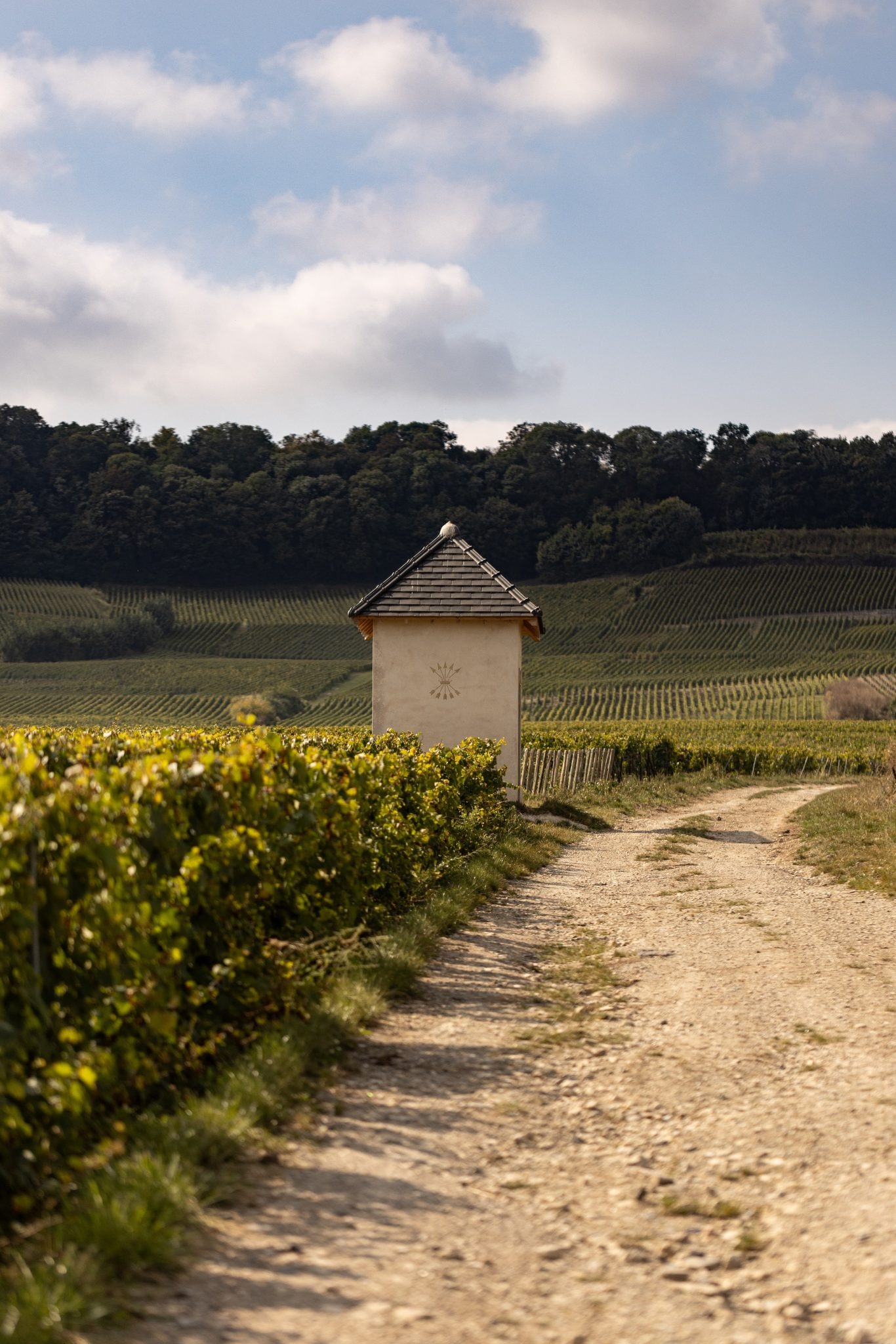 Barons de Rothschild 