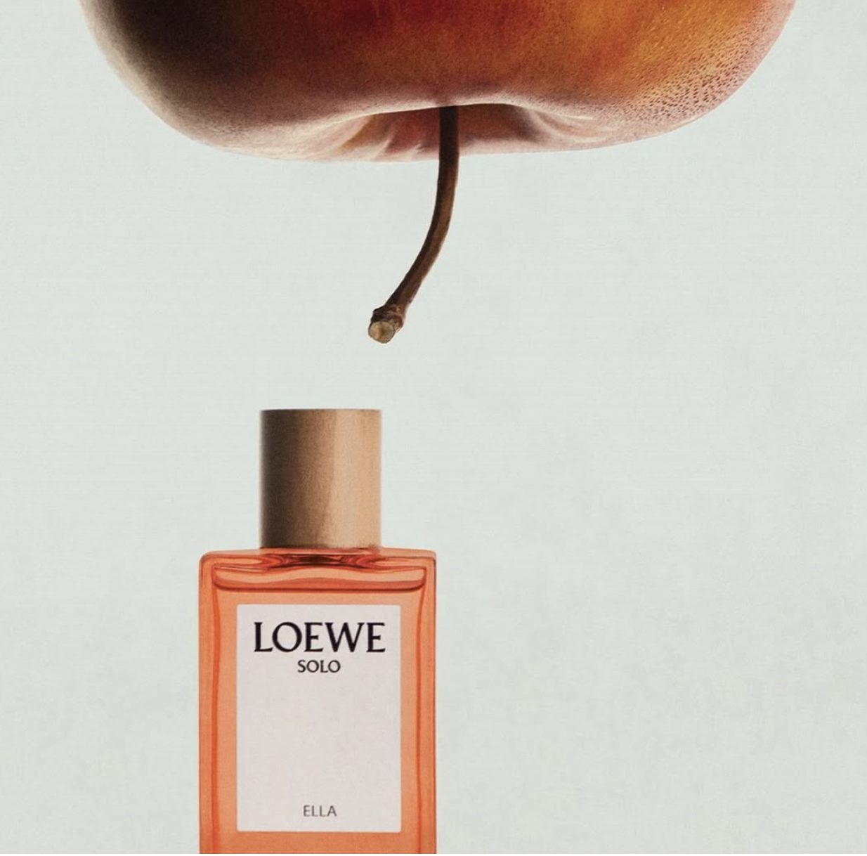 LOEWE Botanical Rainbow