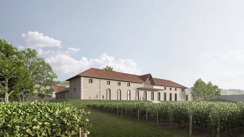 Barons de Rothschild 
