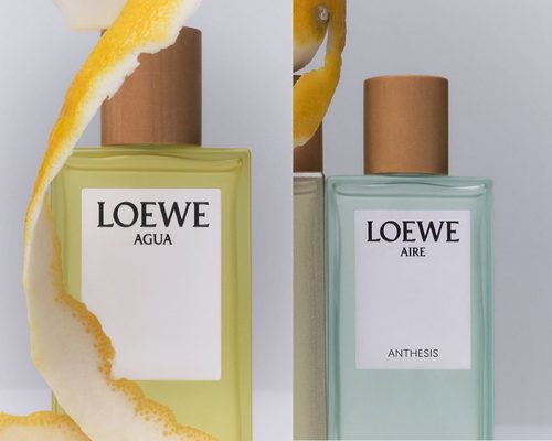 LOEWE Aire Anthesis