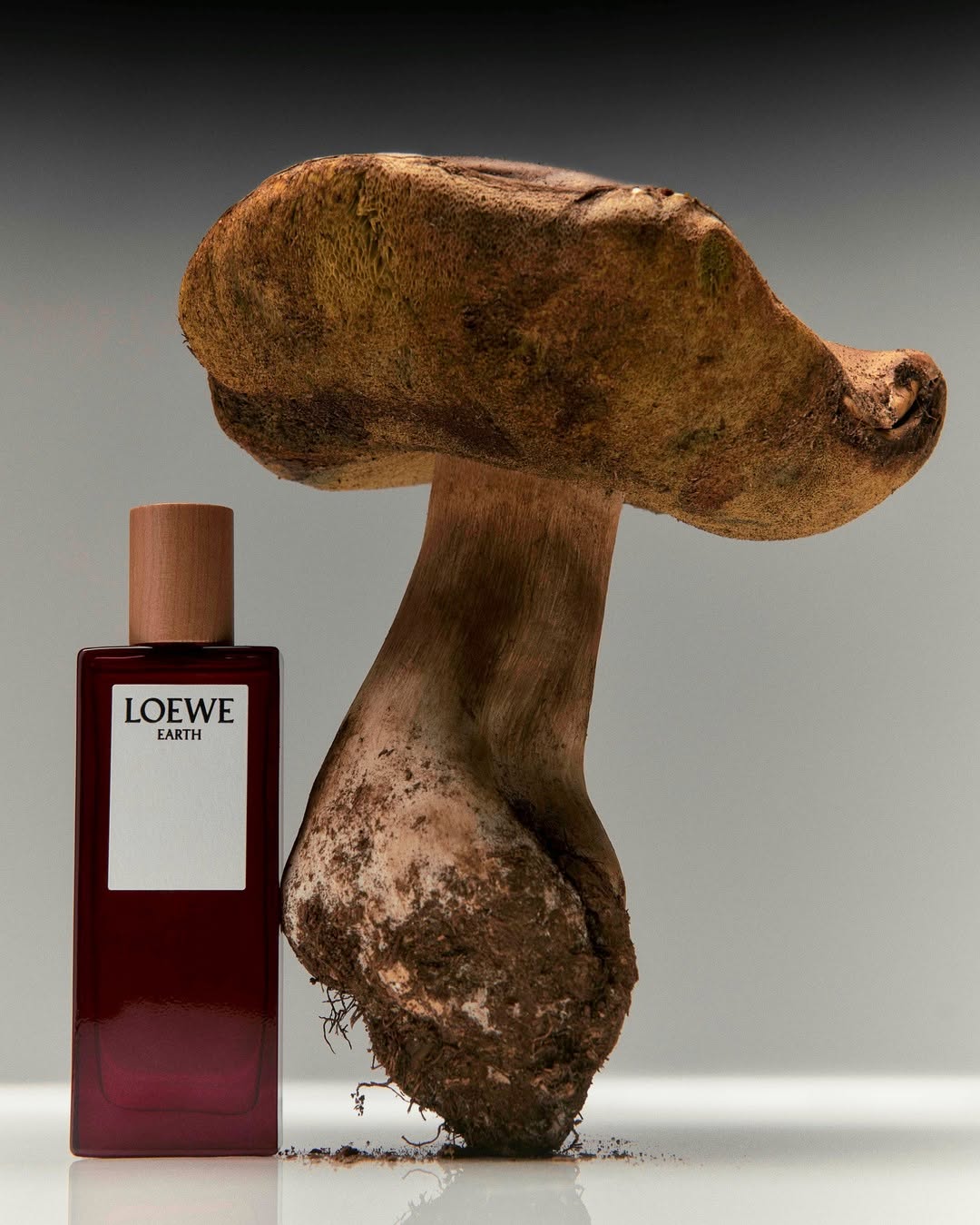 LOEWE Aire Anthesis
