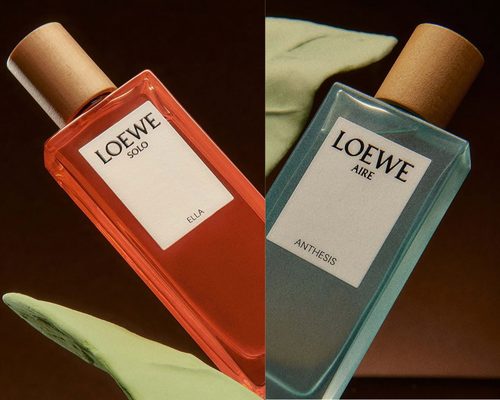 LOEWE Aire Anthesis