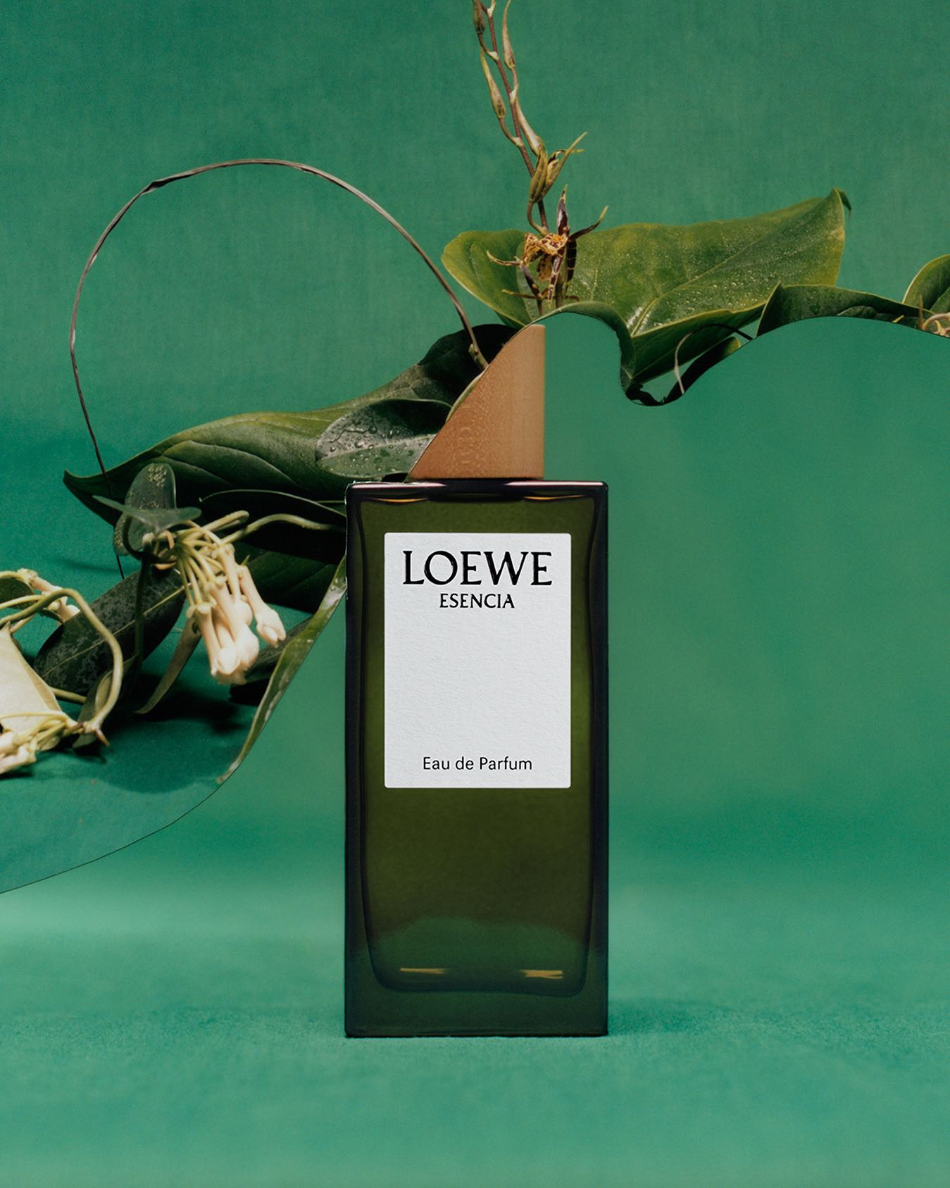 LOEWE Aire Anthesis