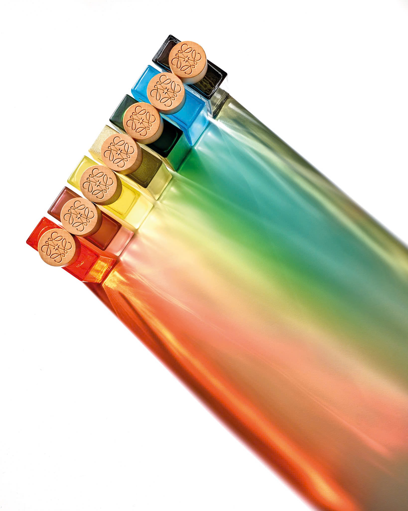 LOEWE Botanical Rainbow