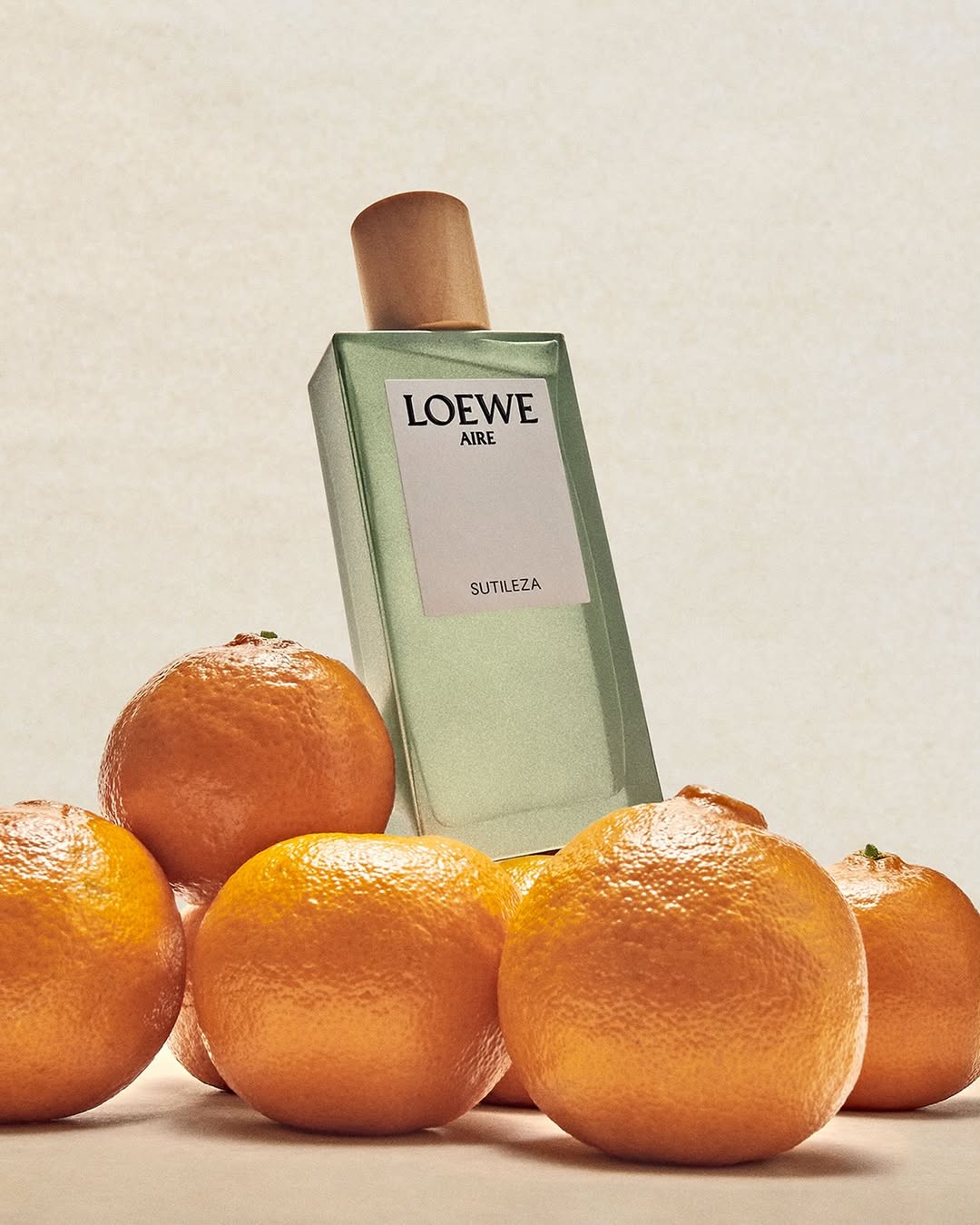 LOEWE Botanical Rainbow