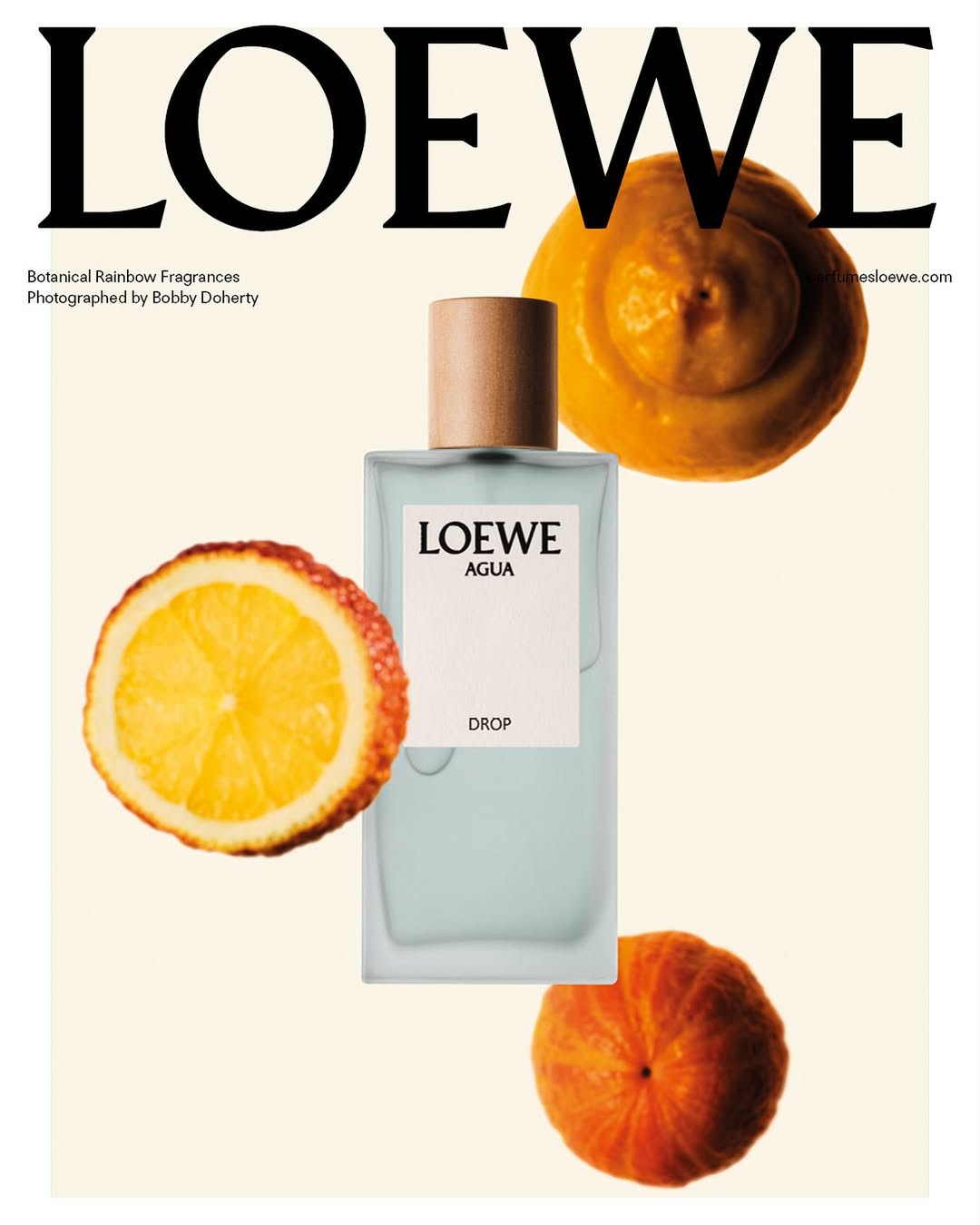 LOEWE Botanical Rainbow