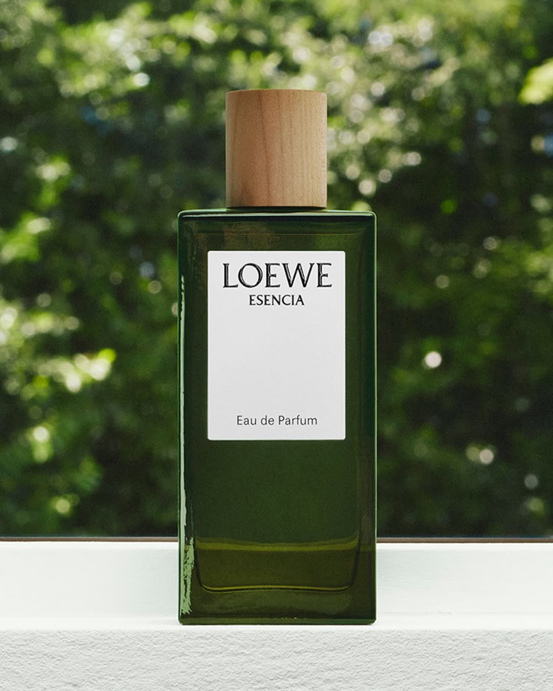 LOEWE Botanical Rainbow