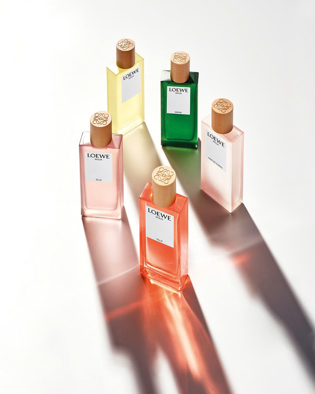 LOEWE Botanical Rainbow