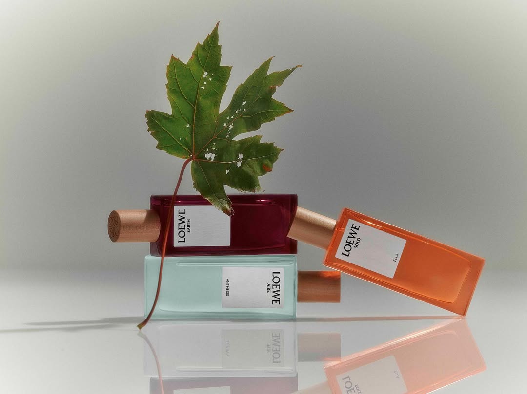 Loewe Earth 