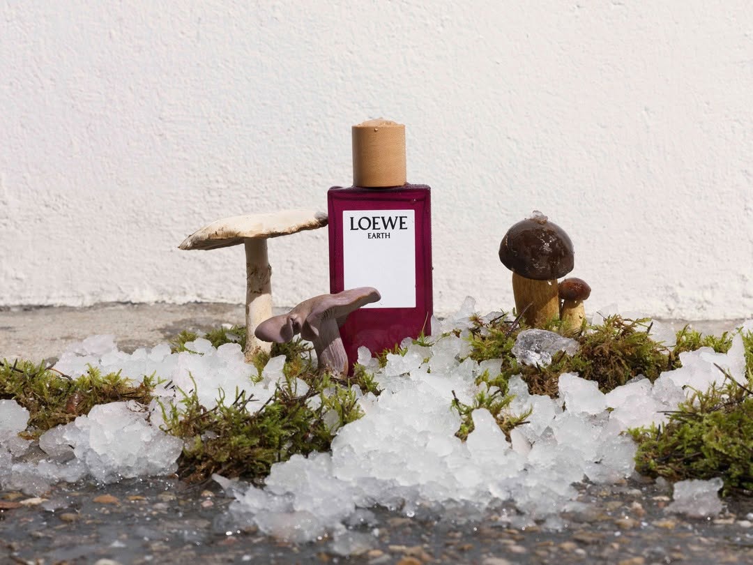 Loewe Earth 
