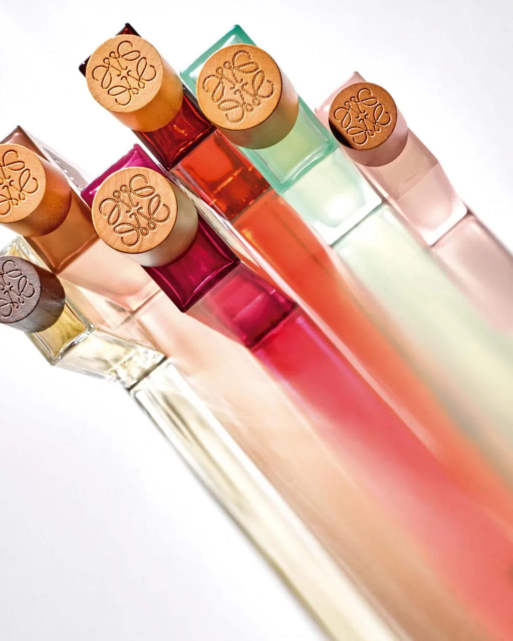 Loewe Earth 
