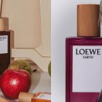 Loewe Earth