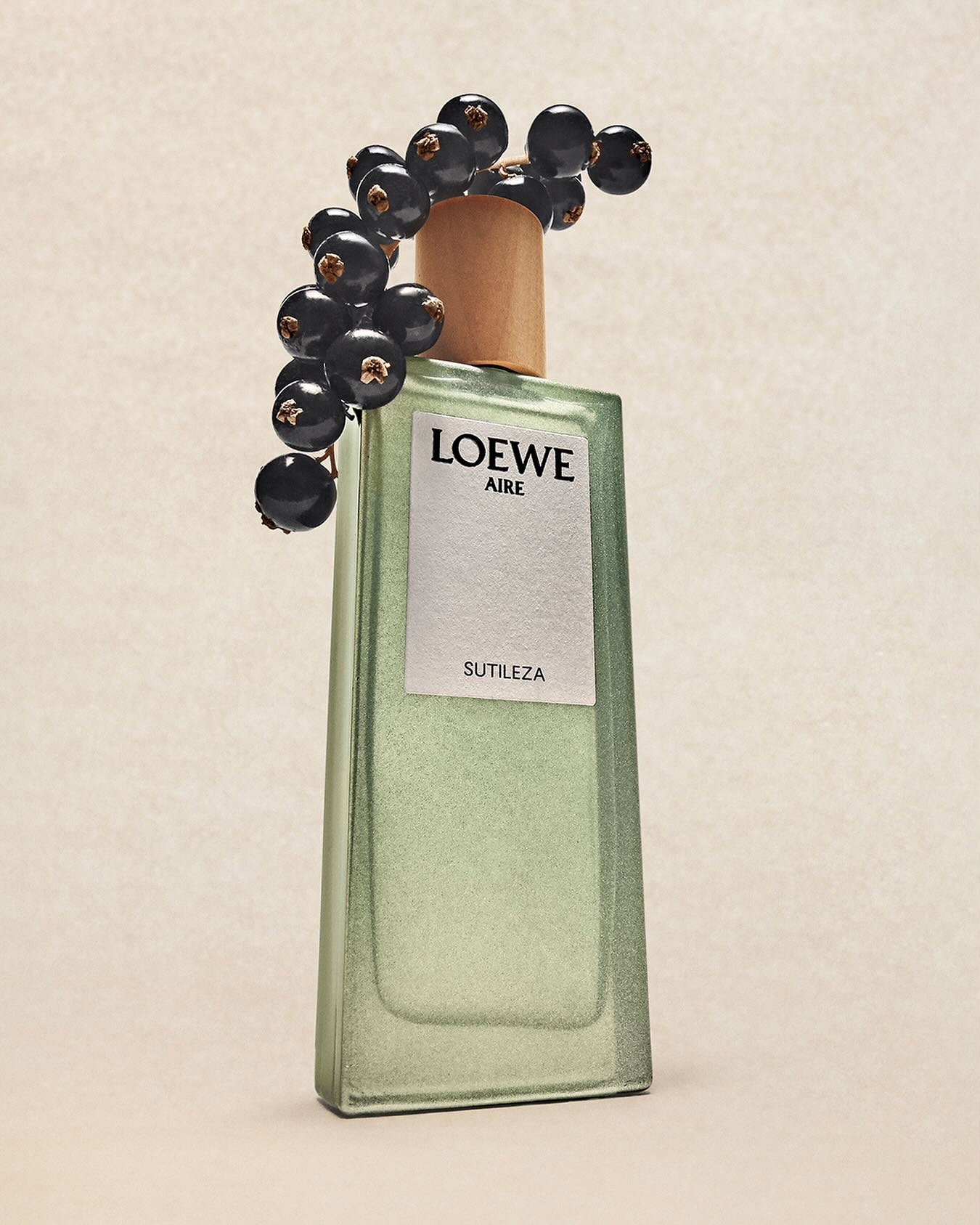 LOEWE Perfumes 