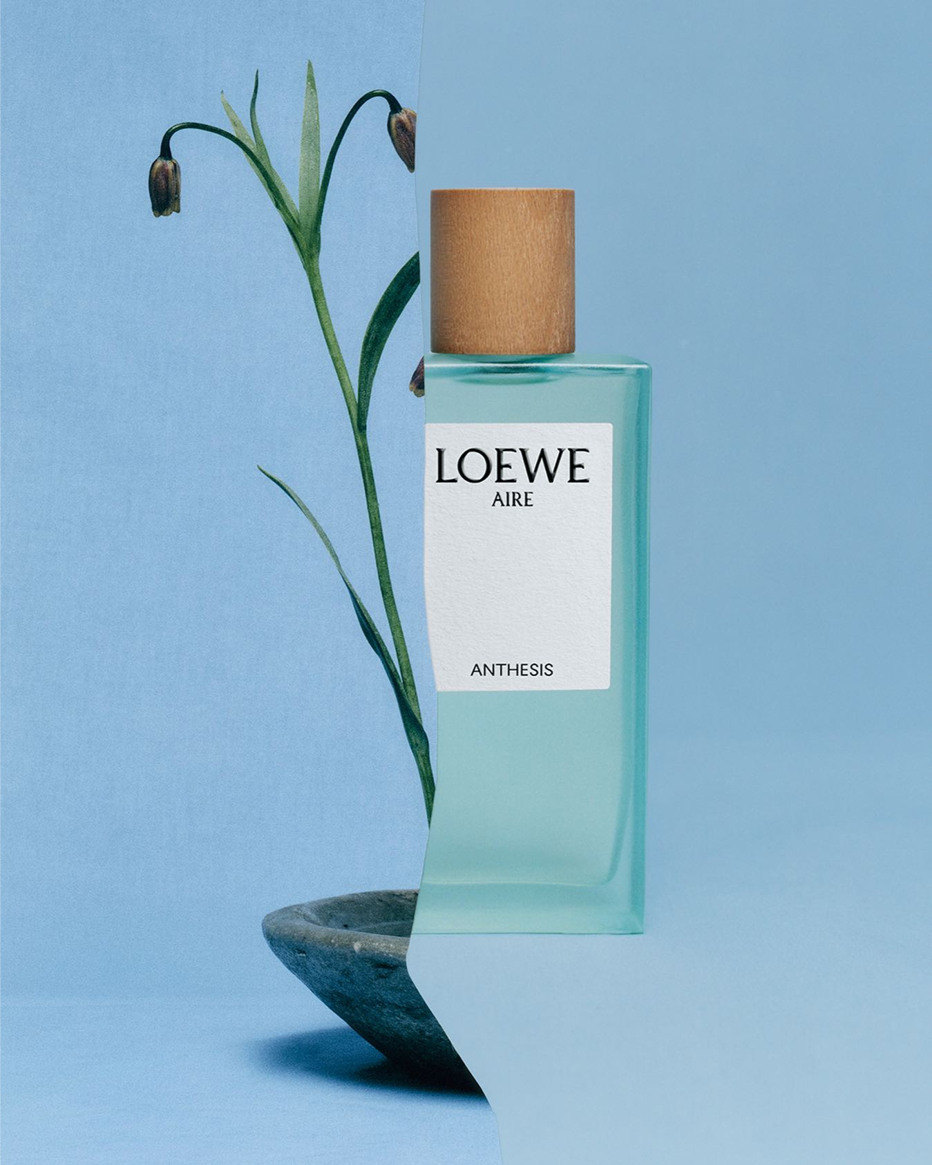 LOEWE Perfumes 