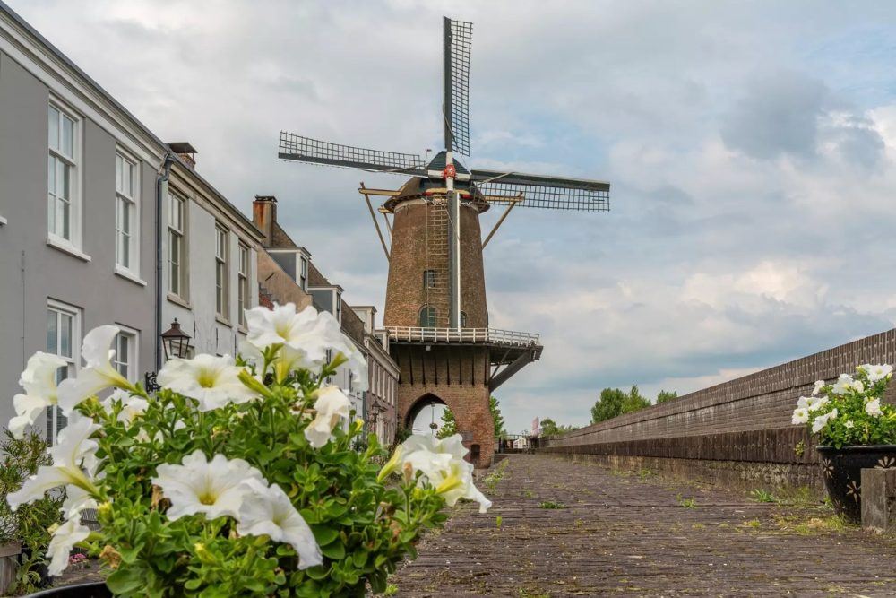 Vì sao Utrecht - 2