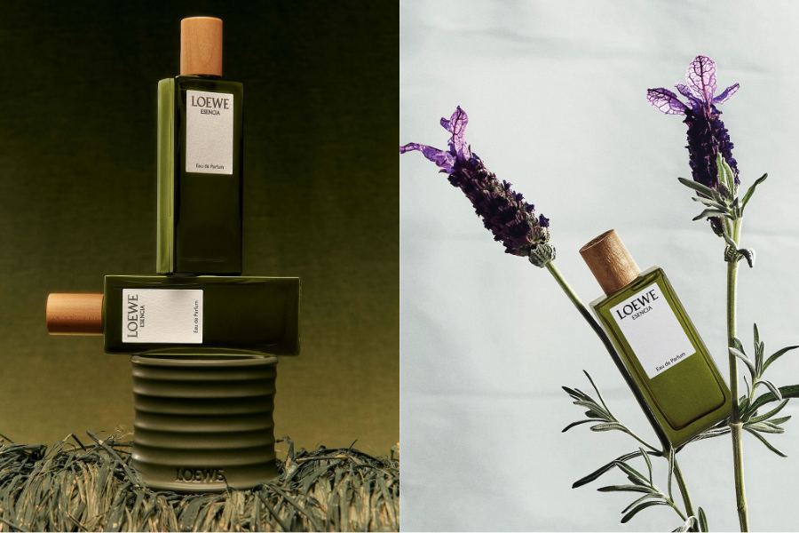 LOEWE Esencia - - 4