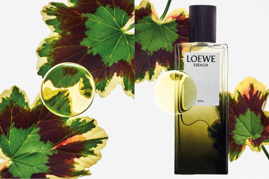 LOEWE Esencia - - 5