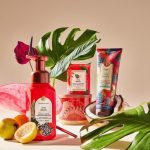Viva Collection chính - 1