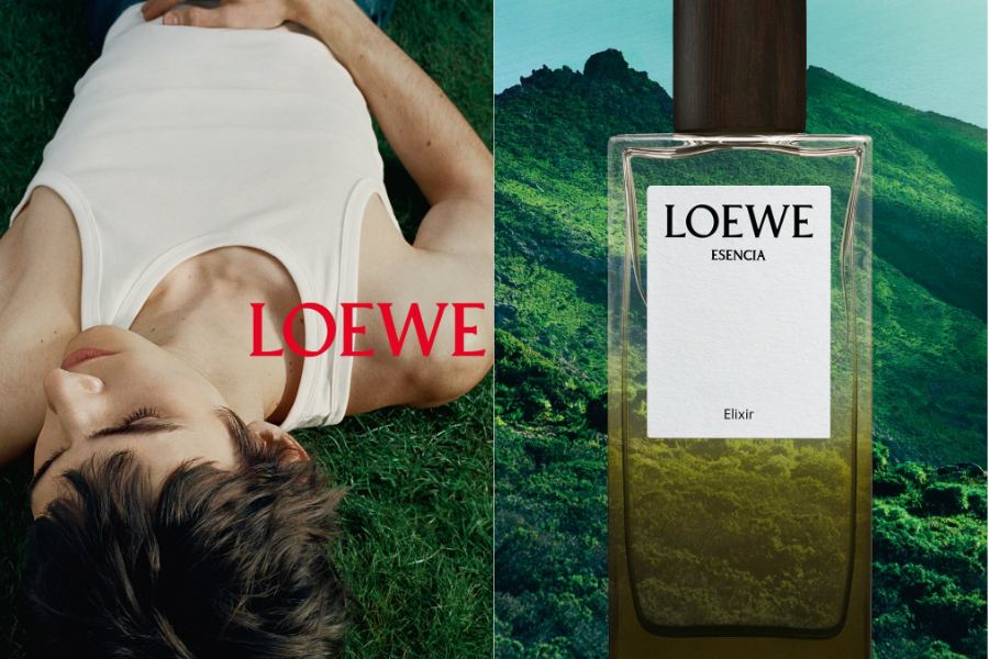 LOEWE - 5