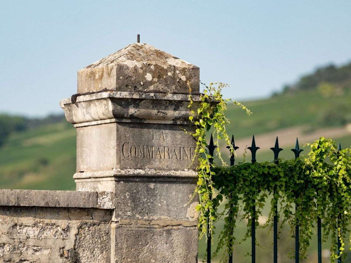 Château La Commaraine - 4
