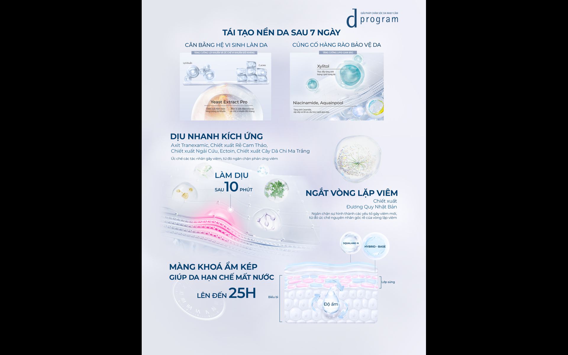 Dprogram chính thức - 12